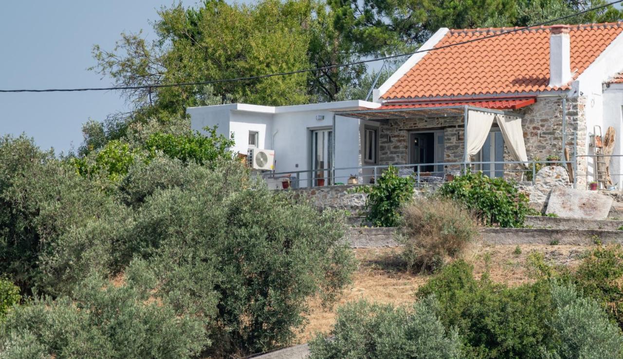 Oneiro Cottage Città di Skopelos Esterno foto